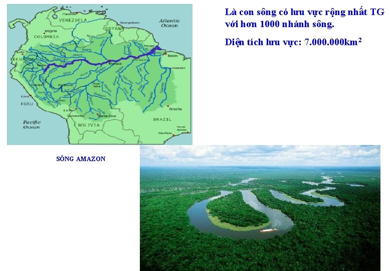 Là con sông có lưu vực rộng nhất TG với hơn 1000 nhánh sông.