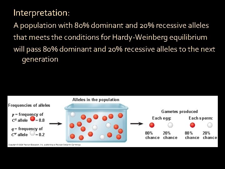 Interpretation: A population with 80% dominant and 20% recessive alleles that meets the conditions
