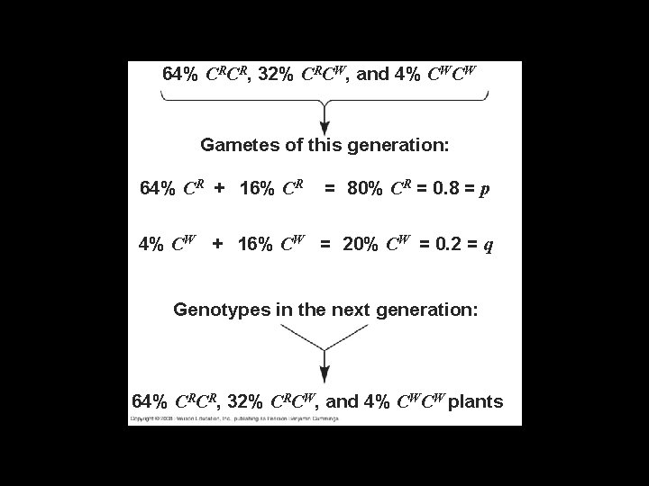 64% CRCR, 32% CRCW, and 4% CWCW Gametes of this generation: 64% CR +