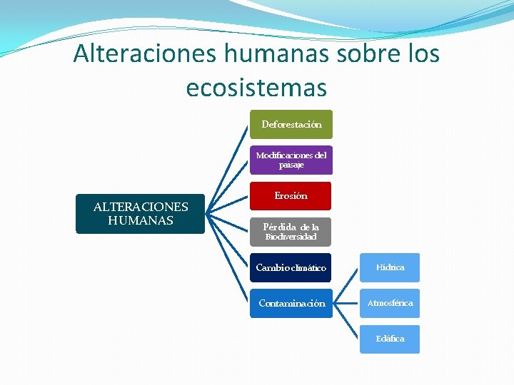 Alteraciones humanas sobre los ecosistemas Deforestación Modificaciones del paisaje ALTERACIONES HUMANAS Erosión Pérdida de