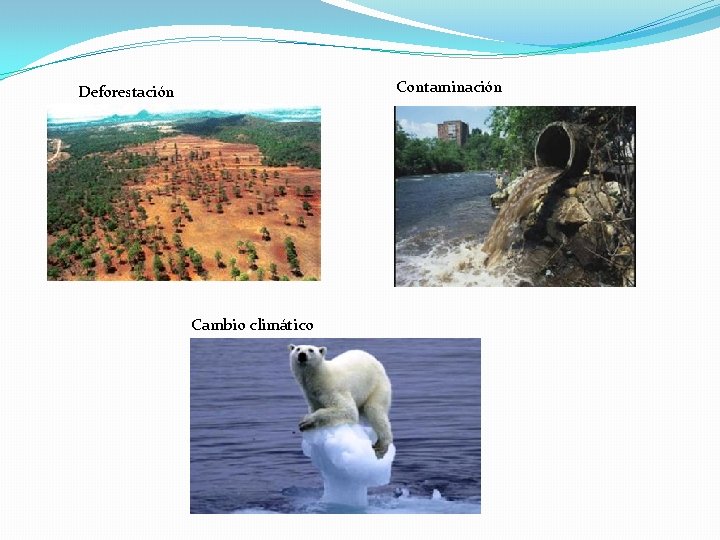 Contaminación Deforestación Cambio climático 