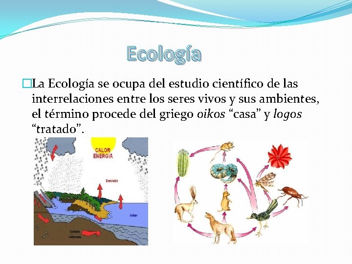 Ecología �La Ecología se ocupa del estudio científico de las interrelaciones entre los seres