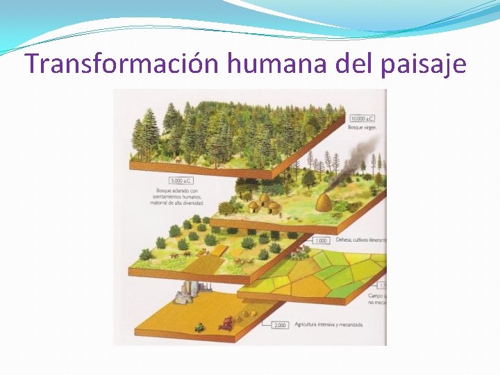 Transformación humana del paisaje 