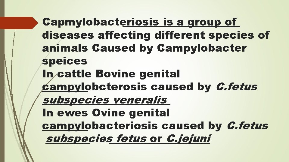 Capmylobacteriosis is a group of diseases affecting different species of animals Caused by Campylobacter