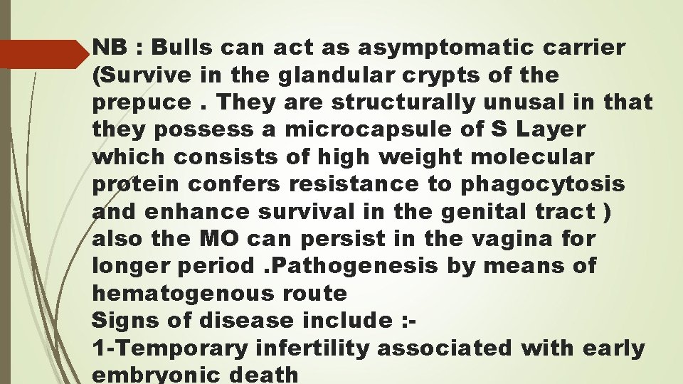 NB : Bulls can act as asymptomatic carrier (Survive in the glandular crypts of