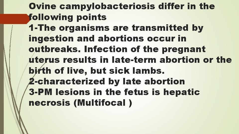 Ovine campylobacteriosis differ in the following points 1 -The organisms are transmitted by ingestion