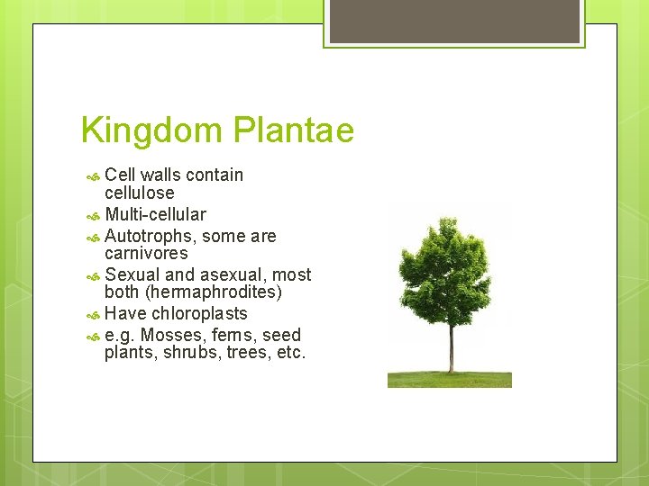 Kingdom Plantae Cell walls contain cellulose Multi-cellular Autotrophs, some are carnivores Sexual and asexual,