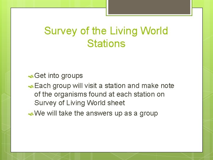 Survey of the Living World Stations Get into groups Each group will visit a