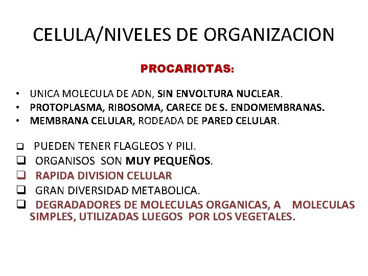 CELULA/NIVELES DE ORGANIZACION PROCARIOTAS: • UNICA MOLECULA DE ADN, SIN ENVOLTURA NUCLEAR. • PROTOPLASMA,