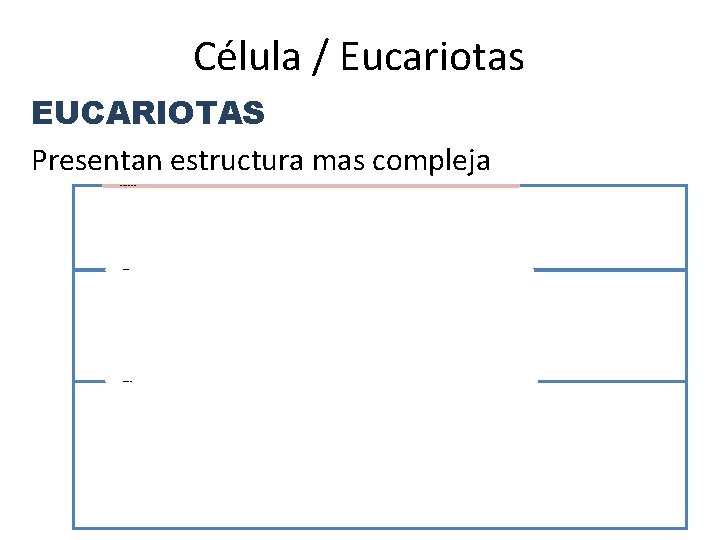 Célula / Eucariotas EUCARIOTAS Presentan estructura mas compleja NÚCLEO (CROMOSOMAS/ NUCLÉOLO ) • •