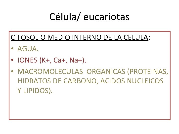 Célula/ eucariotas CITOSOL O MEDIO INTERNO DE LA CELULA: • AGUA. • IONES (K+,