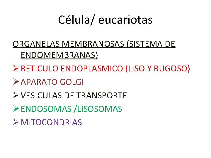 Célula/ eucariotas ORGANELAS MEMBRANOSAS (SISTEMA DE ENDOMEMBRANAS) Ø RETICULO ENDOPLASMICO (LISO Y RUGOSO) Ø