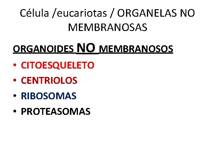 Célula /eucariotas / ORGANELAS NO MEMBRANOSAS ORGANOIDES NO MEMBRANOSOS • • CITOESQUELETO CENTRIOLOS RIBOSOMAS