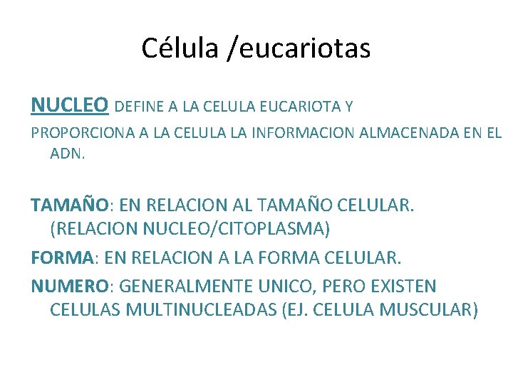 Célula /eucariotas NUCLEO DEFINE A LA CELULA EUCARIOTA Y PROPORCIONA A LA CELULA LA