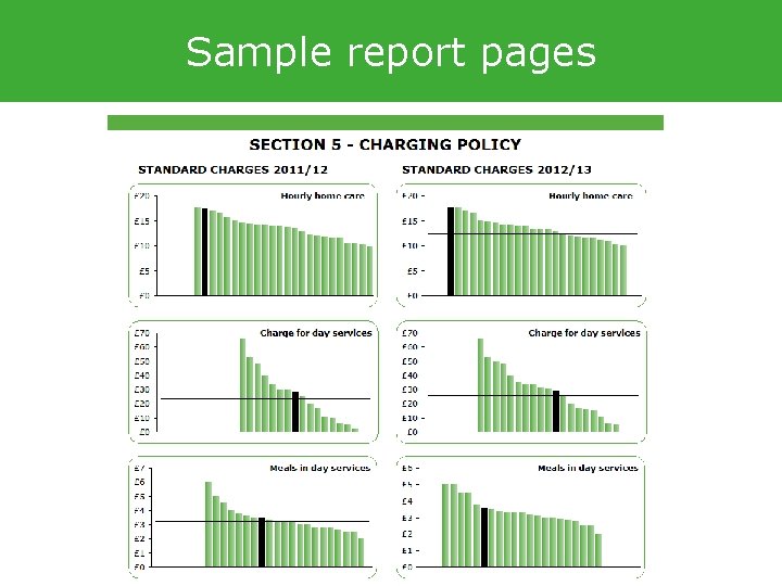 Sample report pages 