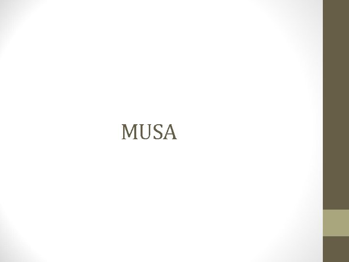 MUSA 