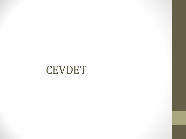 CEVDET 