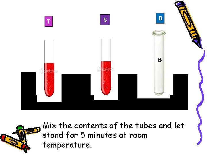 T S B B Mix the contents of the tubes and let stand for