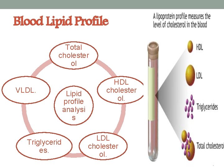 Blood Lipid Profile Total cholester ol VLDL. Triglycerid es. Lipid profile analysi s HDL