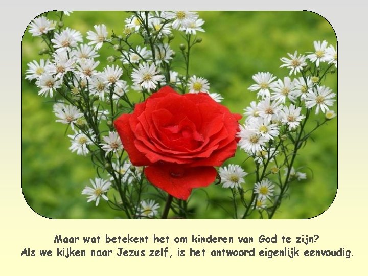 Maar wat betekent het om kinderen van God te zijn? Als we kijken naar