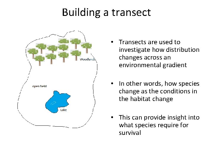 Building a transect • Transects are used to investigate how distribution changes across an