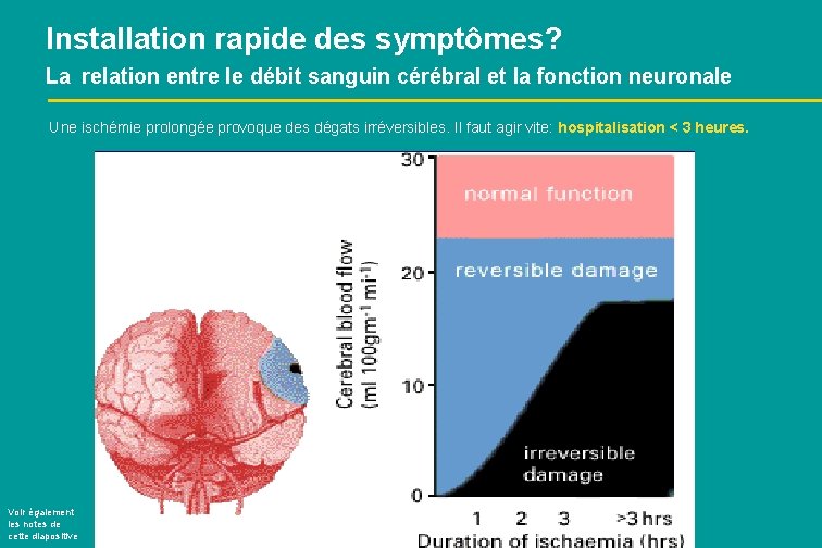 Installation rapide des symptômes? La relation entre le débit sanguin cérébral et la fonction