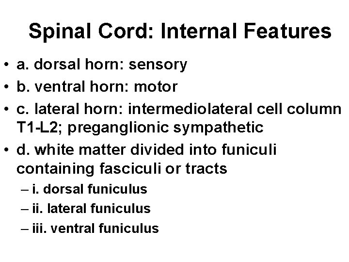 Spinal Cord: Internal Features • a. dorsal horn: sensory • b. ventral horn: motor