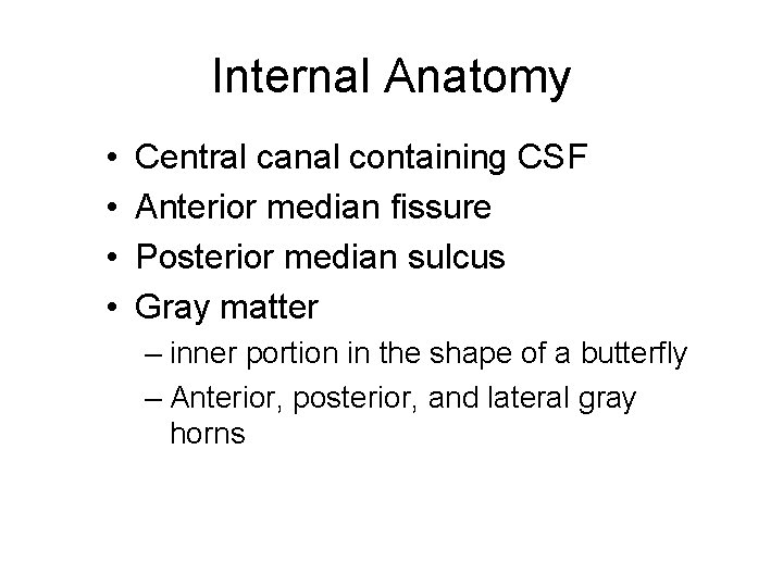 Internal Anatomy • • Central canal containing CSF Anterior median fissure Posterior median sulcus