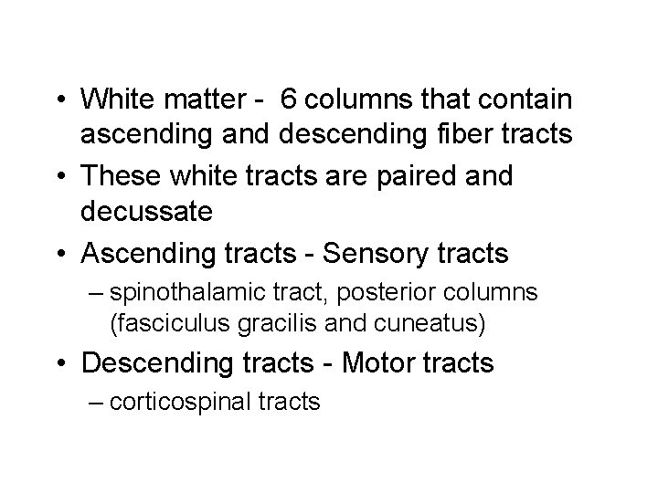  • White matter - 6 columns that contain ascending and descending fiber tracts
