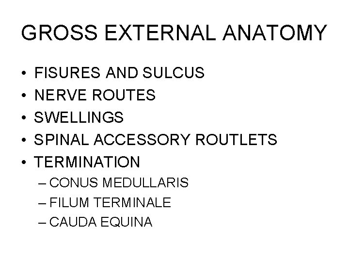 GROSS EXTERNAL ANATOMY • • • FISURES AND SULCUS NERVE ROUTES SWELLINGS SPINAL ACCESSORY