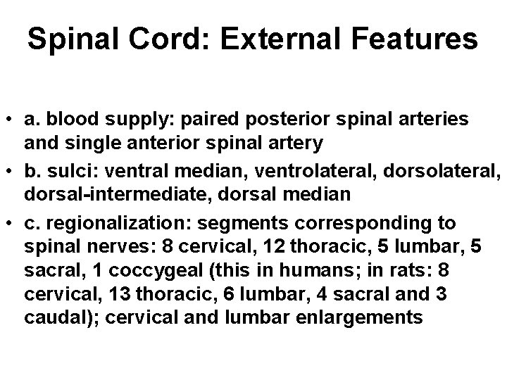 Spinal Cord: External Features • a. blood supply: paired posterior spinal arteries and single