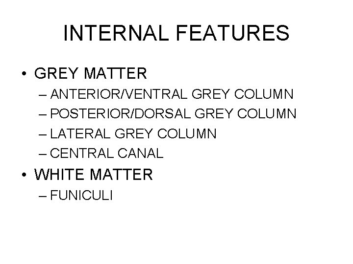 INTERNAL FEATURES • GREY MATTER – ANTERIOR/VENTRAL GREY COLUMN – POSTERIOR/DORSAL GREY COLUMN –