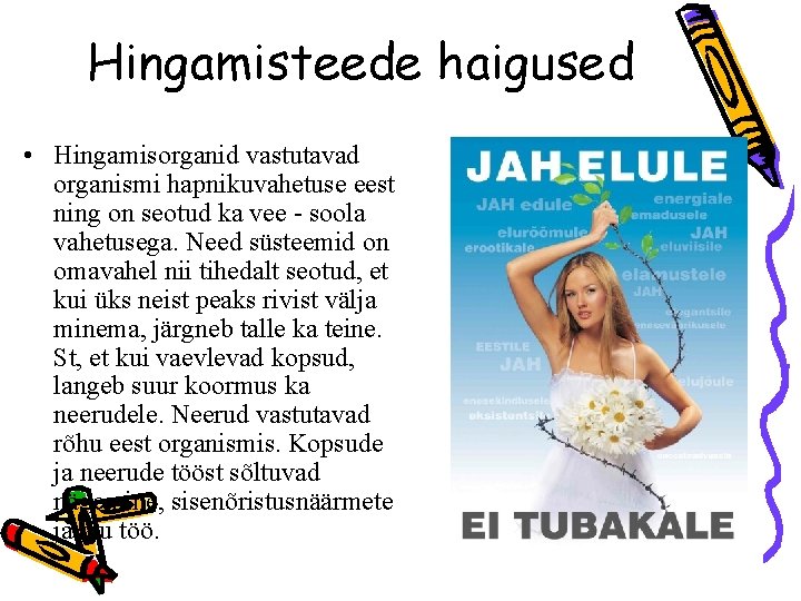 Hingamisteede haigused • Hingamisorganid vastutavad organismi hapnikuvahetuse eest ning on seotud ka vee -