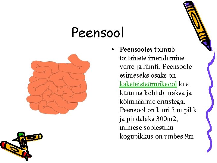 Peensool • Peensooles toimub toitainete imendumine verre ja lümfi. Peensoole esimeseks osaks on kaksteistsõrmiksool