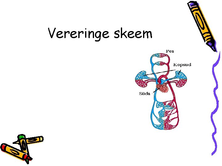 Vereringe skeem 