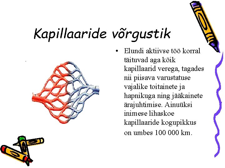 Kapillaaride võrgustik • Elundi aktiivse töö korral täituvad aga kõik kapillaarid verega, tagades nii
