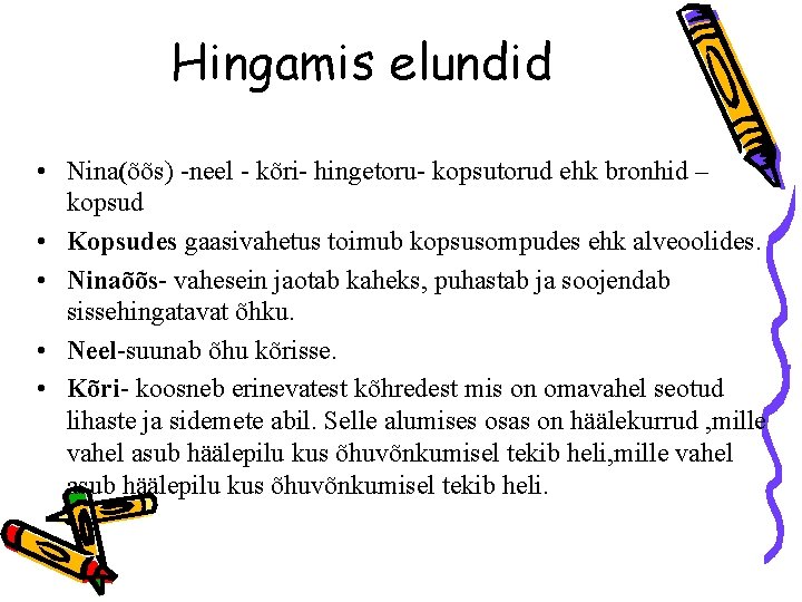 Hingamis elundid • Nina(õõs) -neel - kõri- hingetoru- kopsutorud ehk bronhid – kopsud •