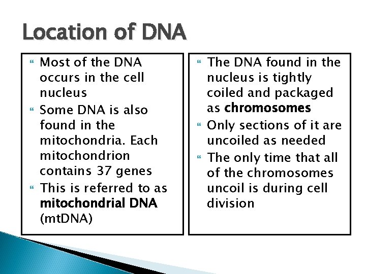 Location of DNA Most of the DNA occurs in the cell nucleus Some DNA