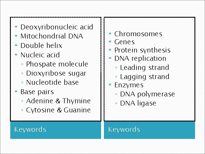  Deoxyribonucleic acid Mitochondrial DNA Double helix Nucleic acid ◦ Phospate molecule ◦ Dioxyribose