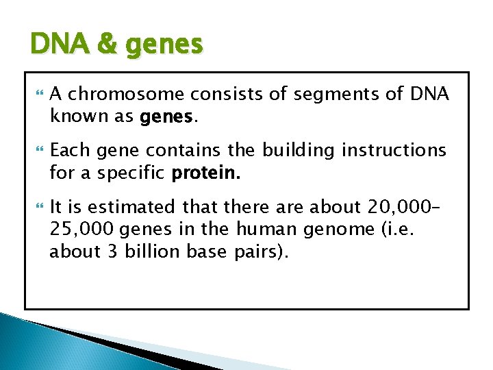 DNA & genes A chromosome consists of segments of DNA known as genes. Each