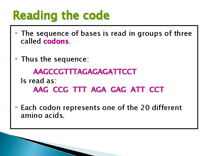 Reading the code The sequence of bases is read in groups of three called