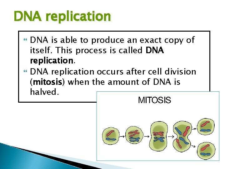 DNA replication DNA is able to produce an exact copy of itself. This process