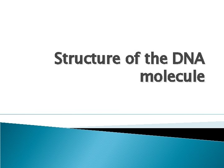 Structure of the DNA molecule 