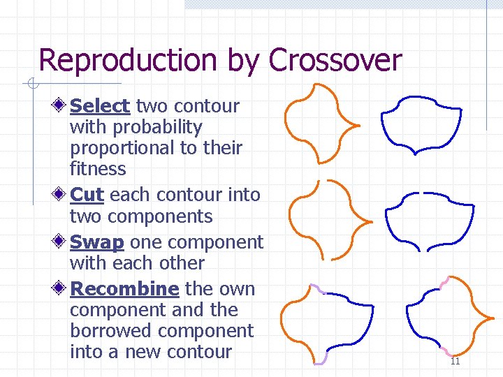Reproduction by Crossover Select two contour with probability proportional to their fitness Cut each