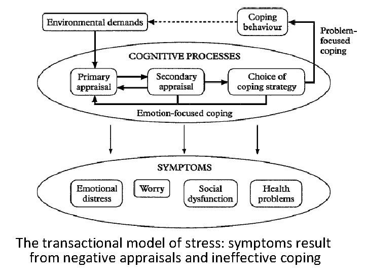The transactional model of stress: symptoms result from negative appraisals and ineffective coping 