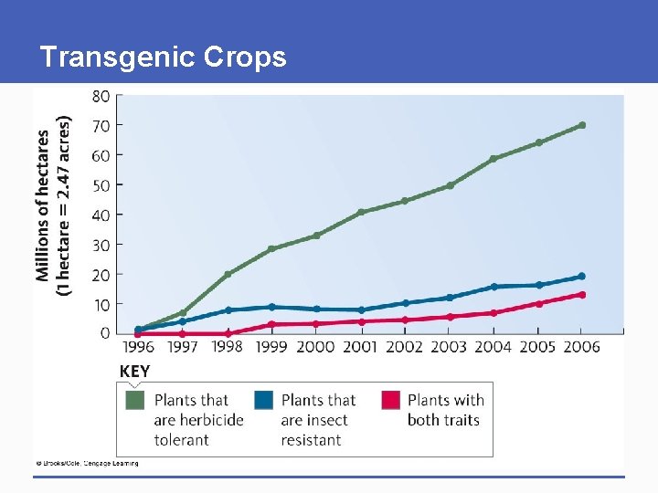 Transgenic Crops 