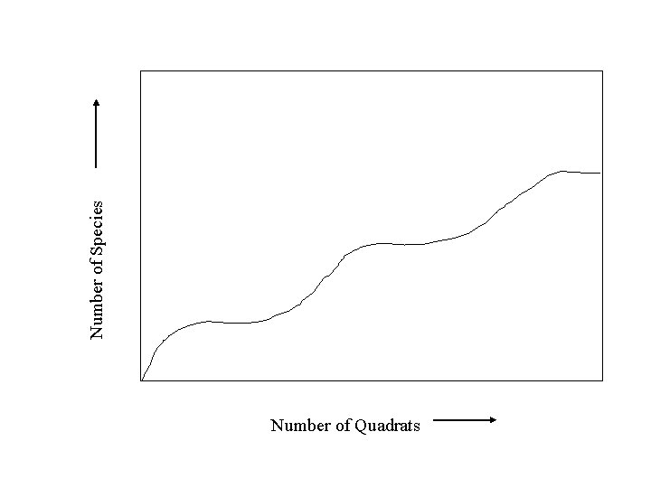 Number of Species Number of Quadrats 