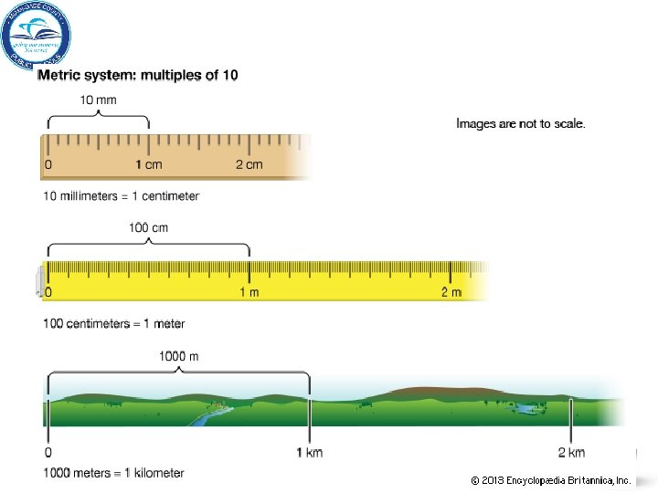 Grade 5 Nature of Science Big Idea 1