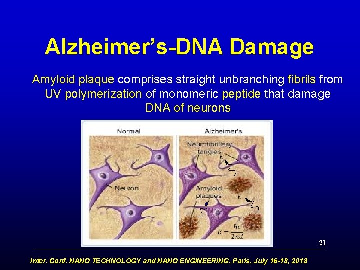 Alzheimer’s-DNA Damage Amyloid plaque comprises straight unbranching fibrils from UV polymerization of monomeric peptide