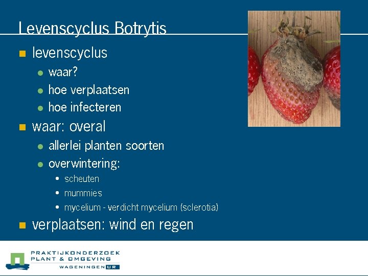 Levenscyclus Botrytis n levenscyclus l l l n waar? hoe verplaatsen hoe infecteren waar: